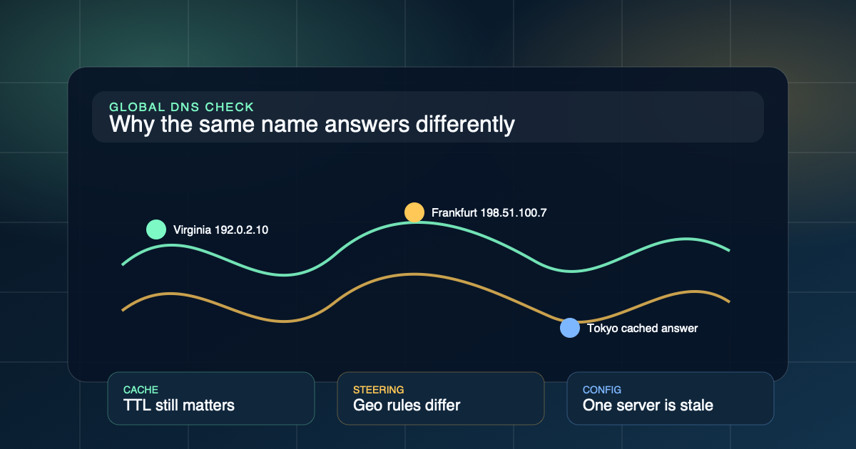A diagnostic map-style view showing DNS answers resolving differently across global regions.